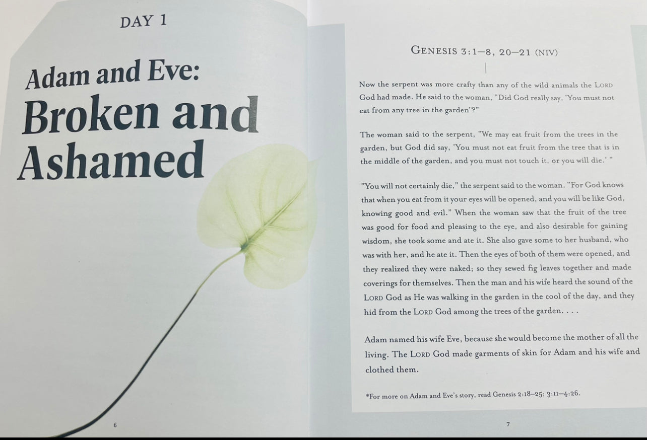 Beautifully Broken Jesus Everyday Series 24 Day Devotional Candace Cameron Bure